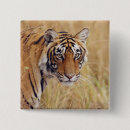 Search for bengals badges Wildlife