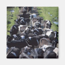 Search for milk magnets Drink