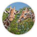 Search for zoo animal knobs and pulls Wildlife