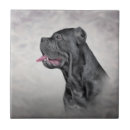 Search for dog breeds tiles Canine