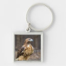 Search for tail feather key rings Nature