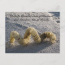 Search for random postcards Kindness