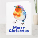 Search for european robin bird postcards Winter