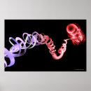 Search for dna posters Genetic