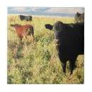 Search for cow and calf tiles Cute
