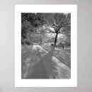 Search for winter path posters Road