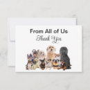 Search for pet rescue cards Dog