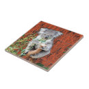 Search for australia tiles Red