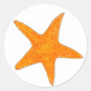 Search for ocean life stickers Orange