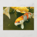 Search for carp postcards Japanese