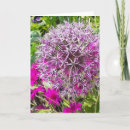 Search for allium cards Flowers
