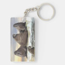 Search for walrus key rings Arctic