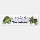 Search for tortoise bumper stickers Animals