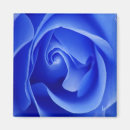 Search for folded magnets Blue