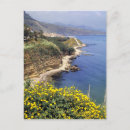 Search for sicily postcards Flower