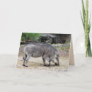 Search for warthog cards Animal