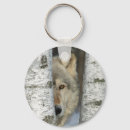 Search for trees birch key rings Snow