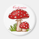 Search for fungus magnets Amanita