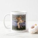 Search for baby lion mugs Wildcat