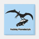 Search for pterodactyl magnets Fun