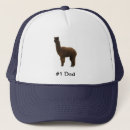 Search for alpacas accessories For him
