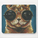 Search for tabby cat electronics Feline
