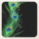 Search for peacock coasters Black