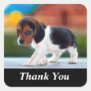 Search for cute beagle stickers Canine