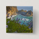 Search for scenic badges Pacific ocean