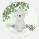 Search for baby koala stickers Boy