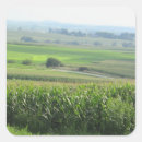 Search for amish stickers Farm