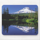 Search for hood mouse mats Lake