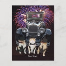 Search for cool cats postcards Cute