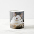 Search for baby cats mugs Cute