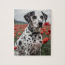 Search for dalmatian puzzles Cute