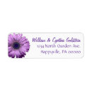 Search for gerberas labels Summer