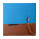 Search for antelope tiles Nature