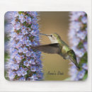 Search for picture of bird electronics Animals