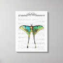 Search for vibrant canvas prints Butterflies