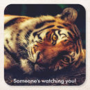 Search for waking up barware Cute