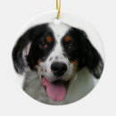 Search for english setter gifts Pets