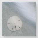 Search for sanibel coasters Wildlife