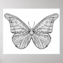 Search for butterfly mandala art Zendoodle