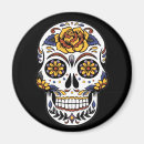 Search for skull magnets Symbol
