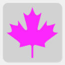 Search for maples Colour