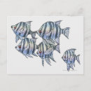 Search for 5 horizontal postcards Fish