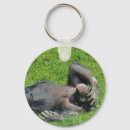 Search for chimp monkey key rings Funny