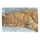 Search for kitty pillowcases Pets