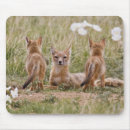 Search for larry ditto mouse mats Prairie