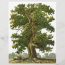 Search for tree flyers Gardening